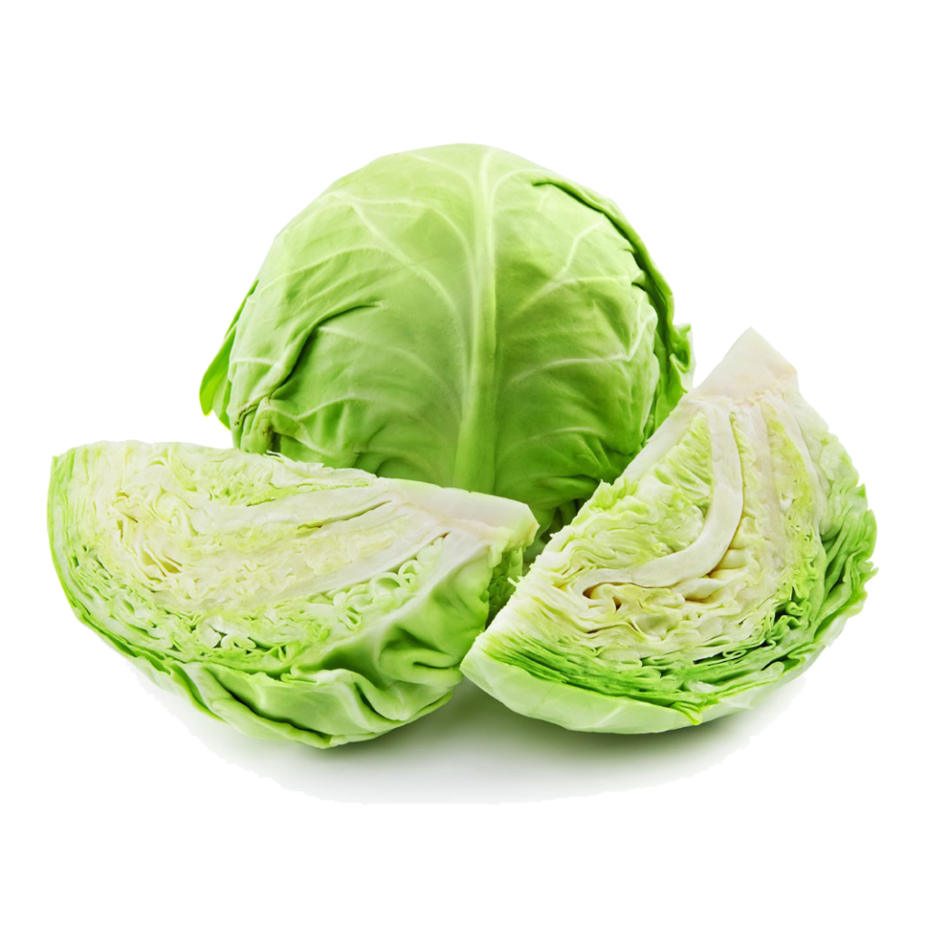 Cabbage
